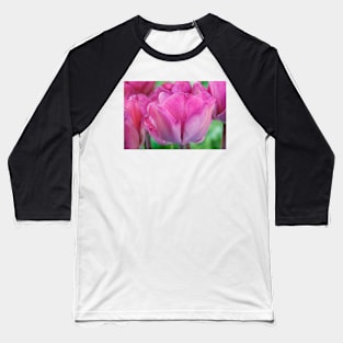 Tulipa  &#39;Magic Lavender&#39;   Triumph Group Tulip Baseball T-Shirt